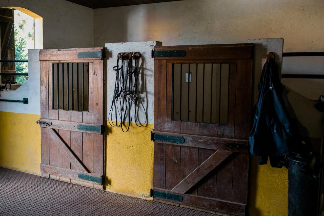 Qr Casas De Campo Vale de Santarem Extérieur photo