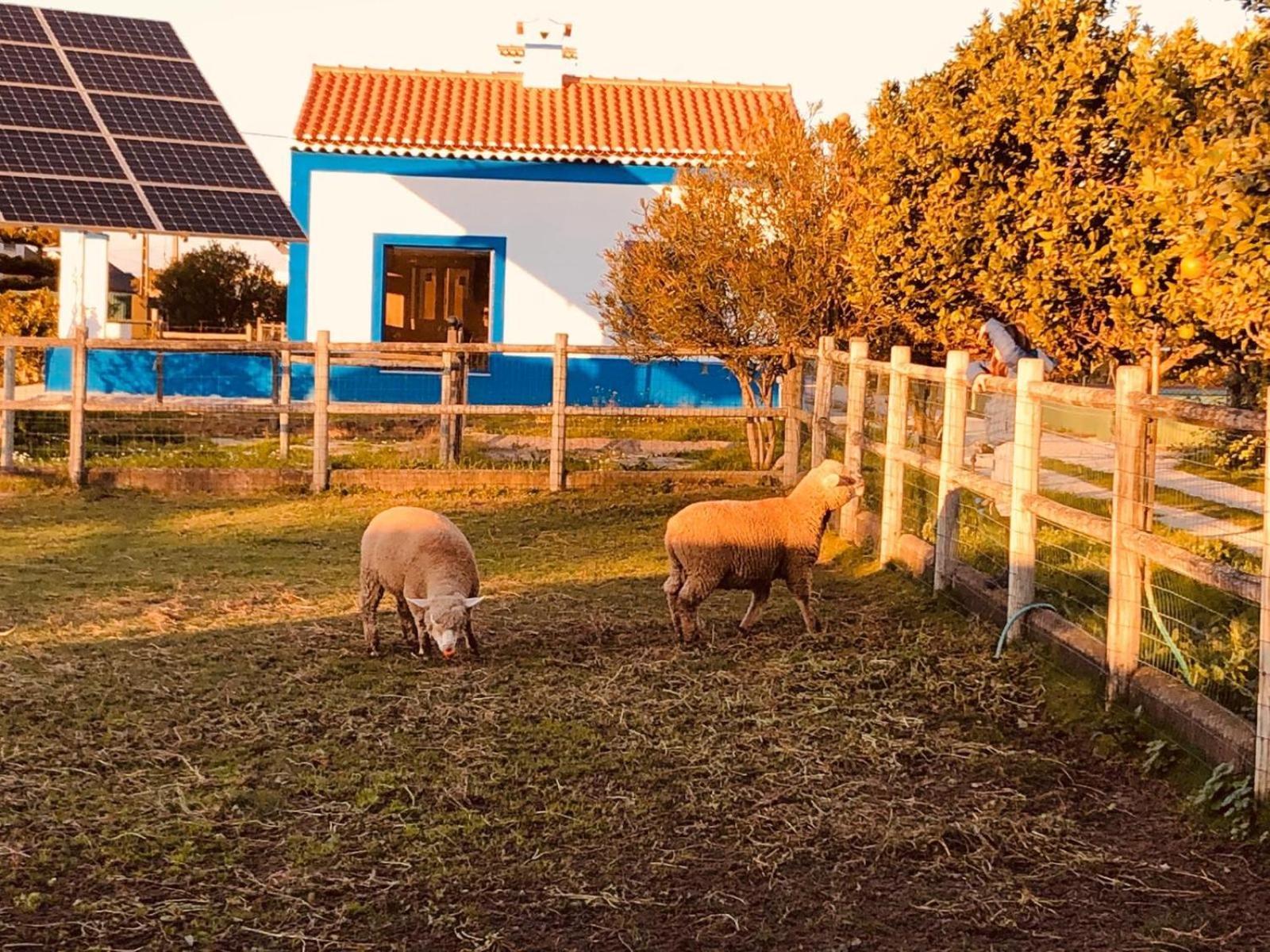 Qr Casas De Campo Vale de Santarem Extérieur photo